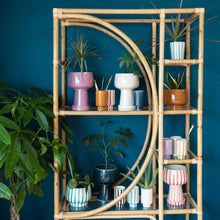 Load image into Gallery viewer, Kaya Striped Ceramic Cups by Justina Blakeney®