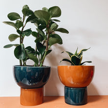 Load image into Gallery viewer, Kaya 2-Piece Ceramic Bowl Planter by Justina Blakeney®
