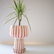 Load image into Gallery viewer, Kaya 3-Piece Ceramic Planter by Justina Blakeney®
